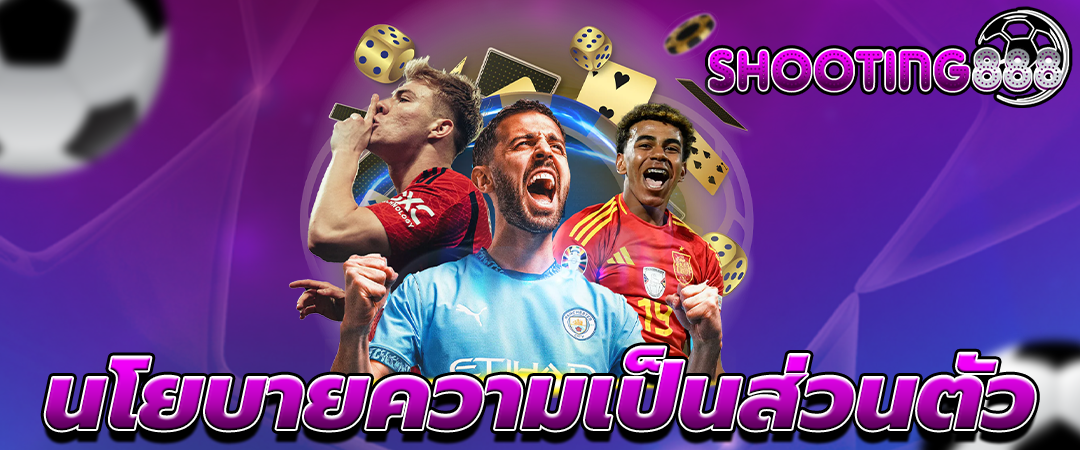 นโยบายความเป็นส่วนตัว